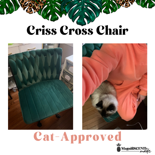 Cat-Approved Criss-Cross Chair: Changing Work From Home!